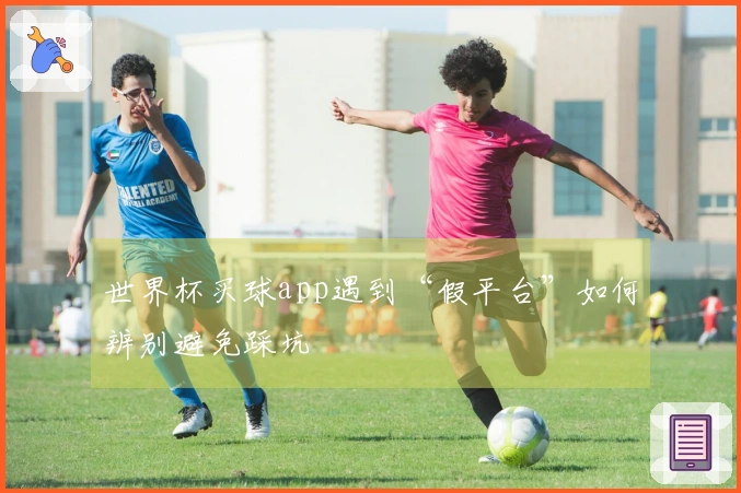 世界杯买球app遇到“假平台”如何辨别避免踩坑