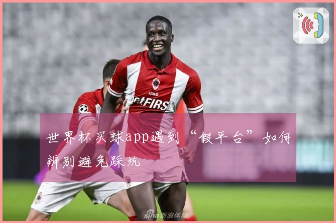 世界杯买球app遇到“假平台”如何辨别避免踩坑
